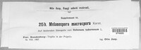 Image of Melanospora macrospora